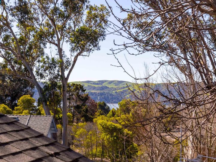 110 Mountview Ter, Benicia, CA | Downtown. Photo 44 of 49