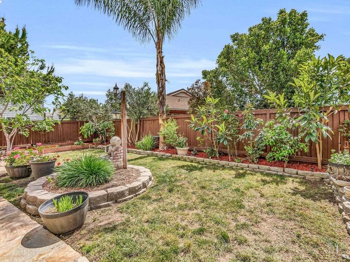 1118 Europena Dr, Brentwood, CA | Rose Garden. Photo 42 of 47