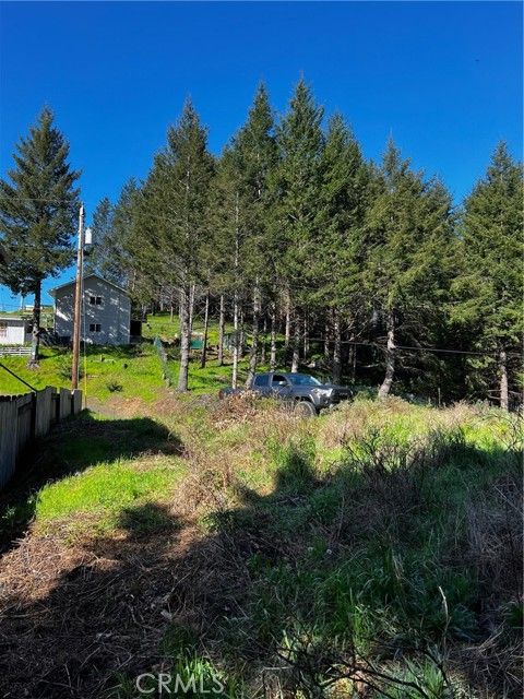 159 Redwood Rd Shelter Cove CA. Photo 10 of 11
