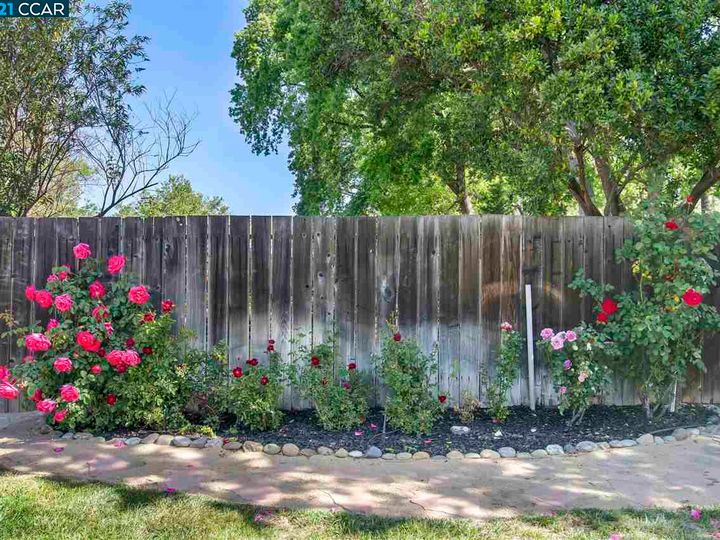 1859 Ardith Dr, Pleasant Hill, CA | Gregory Gardens. Photo 38 of 40