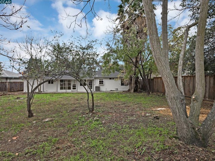 1951 Apple Dr, Concord, CA | Tree Haven. Photo 25 of 26