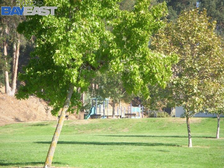 20031 Clement Dr, Castro Valley, CA | Palomares Hills. Photo 50 of 56