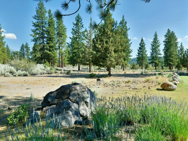5636 Jackson Ranch Rd, Weed, CA | . Photo 27 of 40