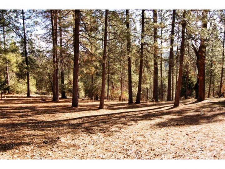 5895 Hangmans Tree, Mountain Ranch, CA | . Photo 24 of 25