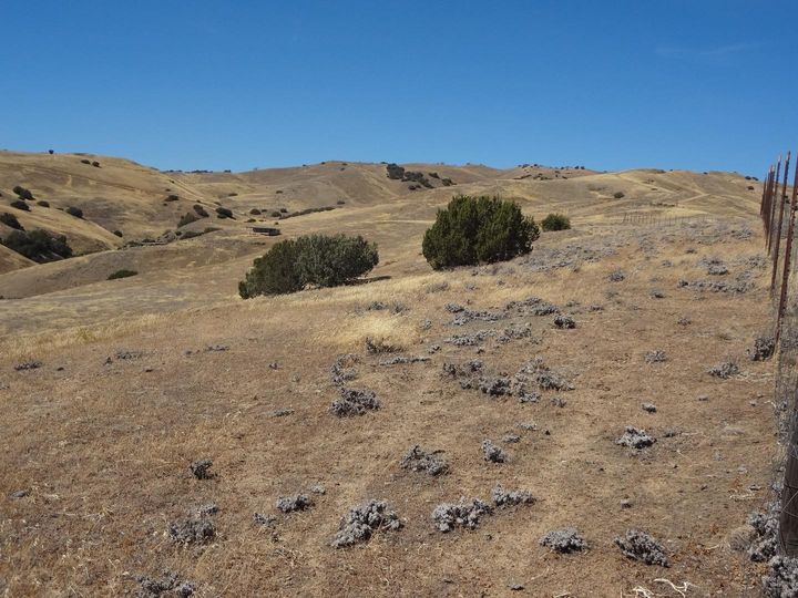 Lot 34 Panoche Rd Paicines CA. Photo 9 of 16