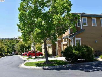 3858 N Canyon Ct, Castro Valley, CA, 94552 Townhouse. Photo 3 of 28