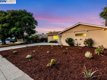 41736 Paseo Padre Pkwy, Fremont, CA | Mission. Photo 3 of 42