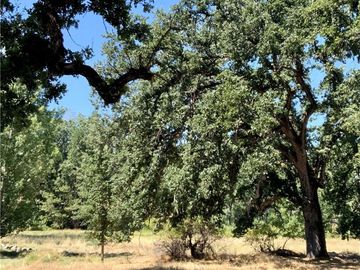 Giant Oak Rd, Oakhurst, CA