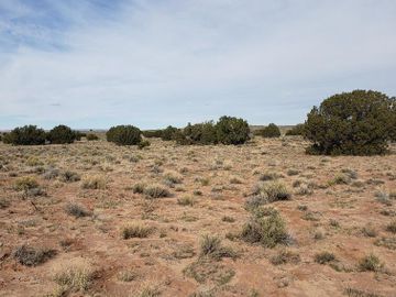 Lot 10 Rte 2007 Out Of Area AZ. Photo 4 of 20