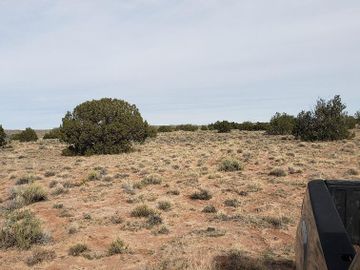 Lot 10 Rte 2007 Out Of Area AZ. Photo 6 of 20